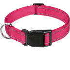 Reflective Dog Collar, Adjustable Nylon Safety Collar for Small Dogs