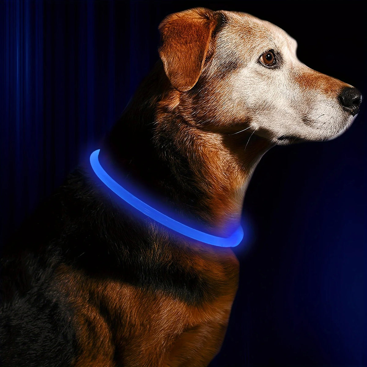 LED Dog Collar, Rechargeable Light Up Reflective Nylon Collar