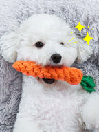 Rope Dog Toy, Knotted Chew Toy for Small & Medium Dogs