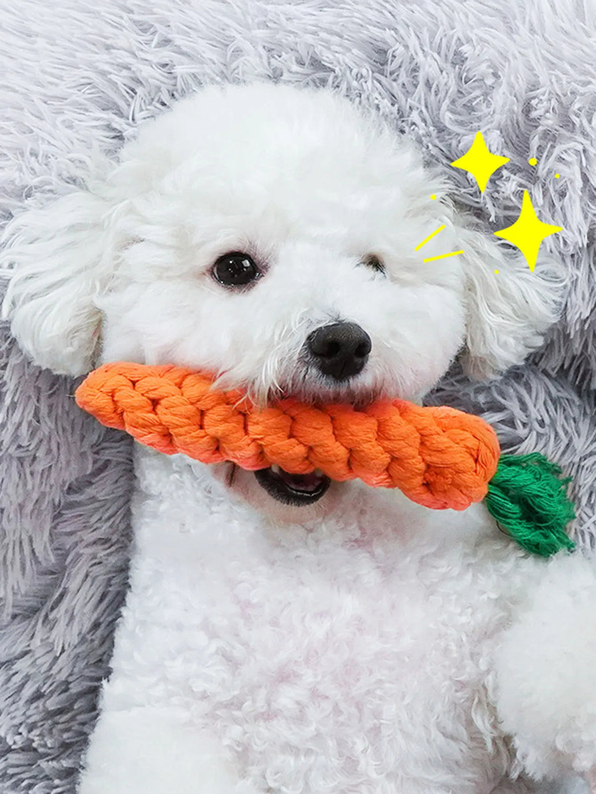 Rope Dog Toy, Knotted Chew Toy for Small & Medium Dogs