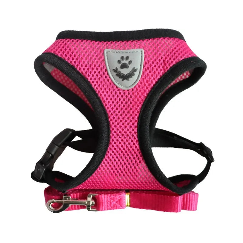 Cat Harness and Leash