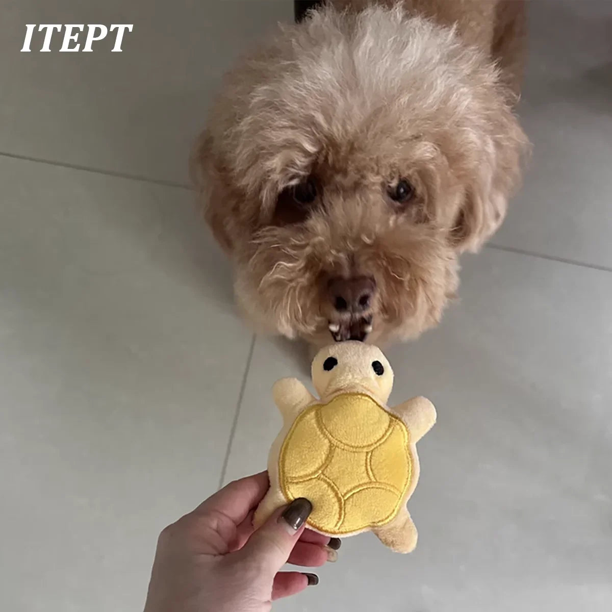 Puppy Chew Toy Mini Fleece Plush Teething Dog Toy