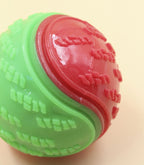 Squeaky Dog Ball – Interactive TPR Teeth Cleaning Toy