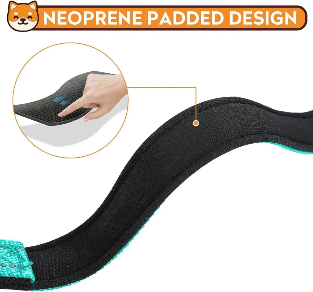 Adjustable Dog Collar, Soft Padded Nylon Collar with Buckle