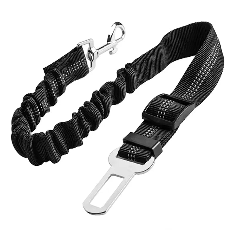 Embroidered Cat Collar with Bell – Breakaway Safety Buckle