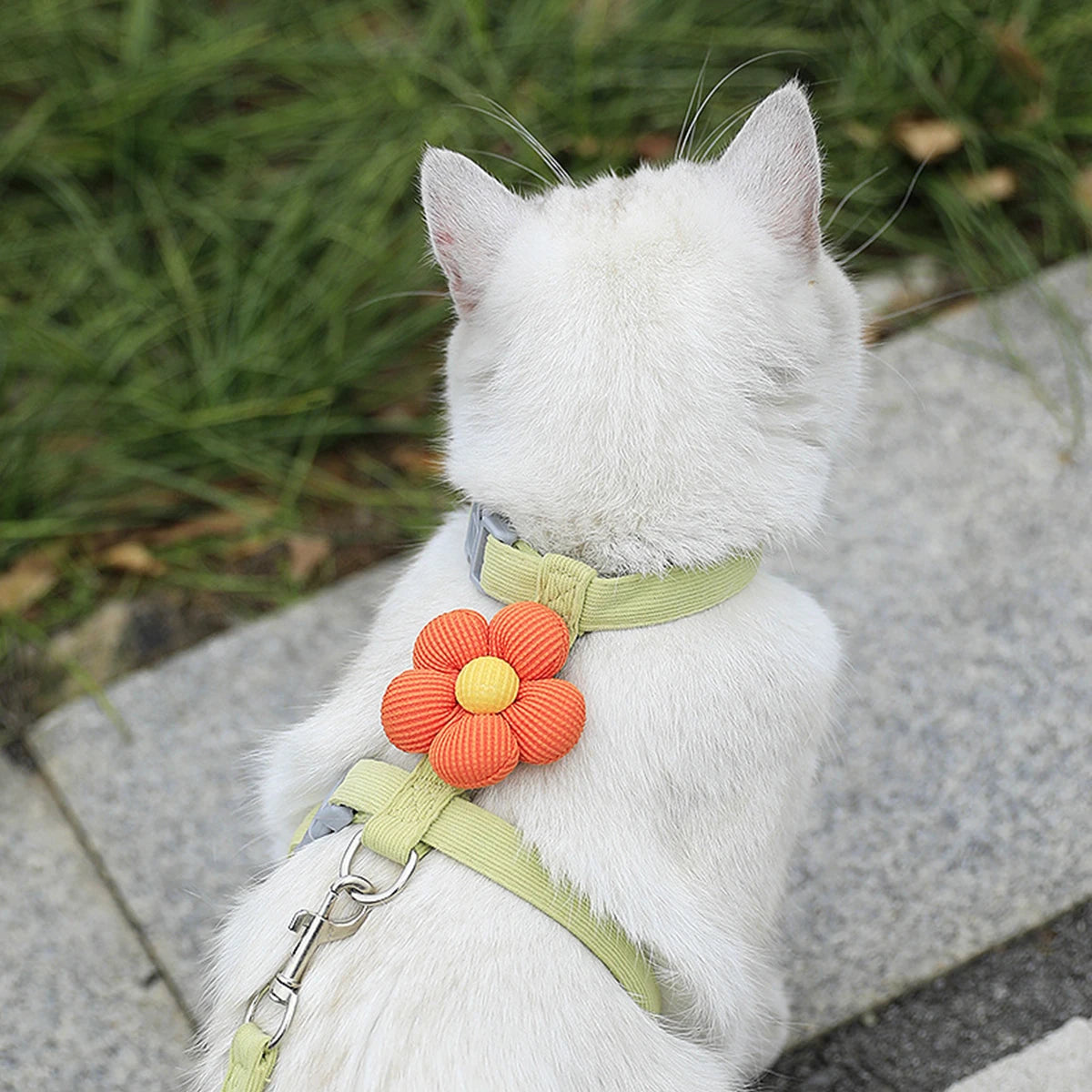 Cat Harness and Leash Set – Adjustable Breathable Vest