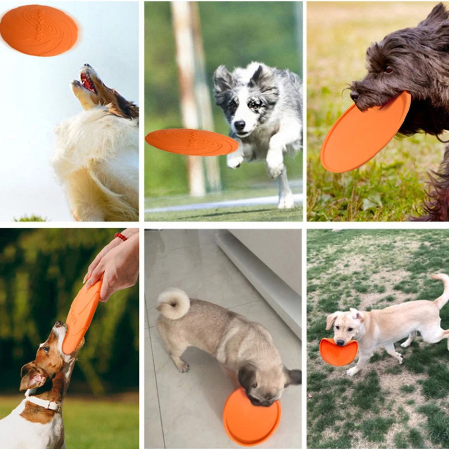 Dog Flying Disc, Soft Rubber Outdoor Toy for Training and Fetch
