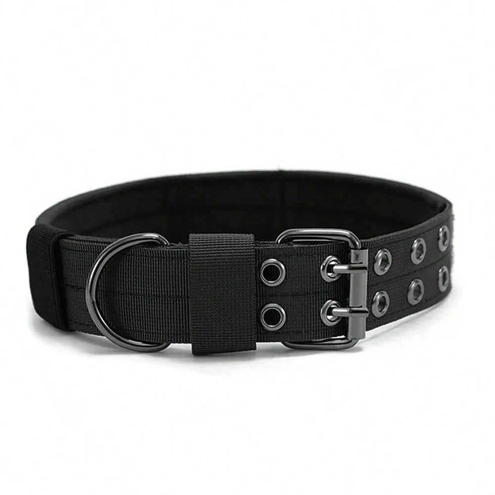 Adjustable Dog Collar – Nylon Working Collar with Metal D-Ring