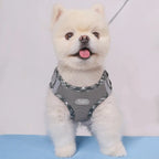 Dog Harness – Adjustable Anti-Pull Harness for Small & Medium Dogs