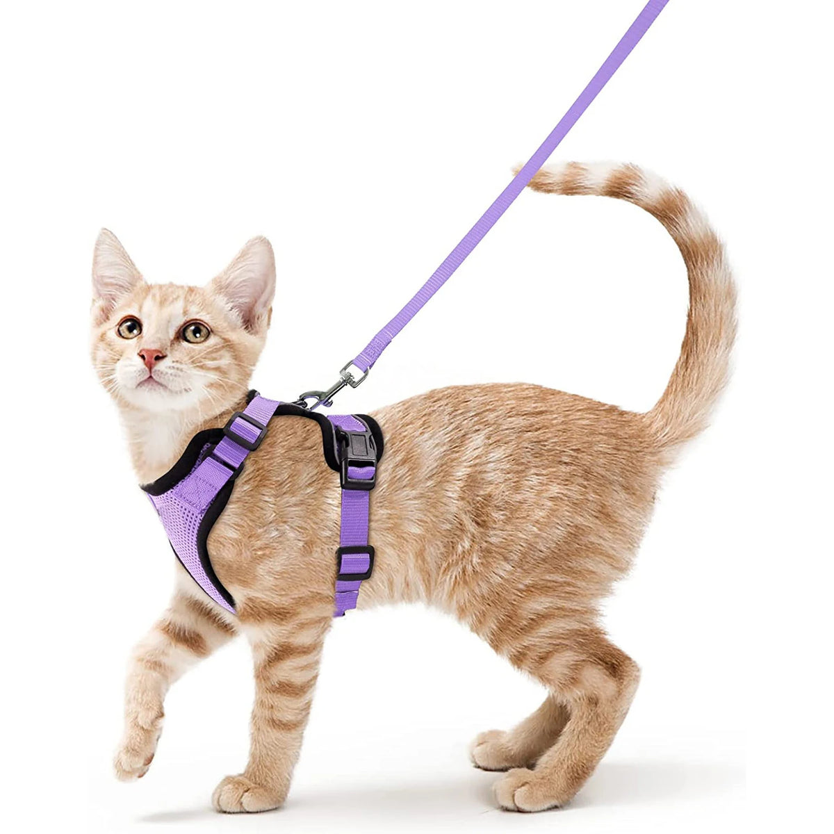 Cat Harness and Leash – Soft Adjustable Vest for Walking