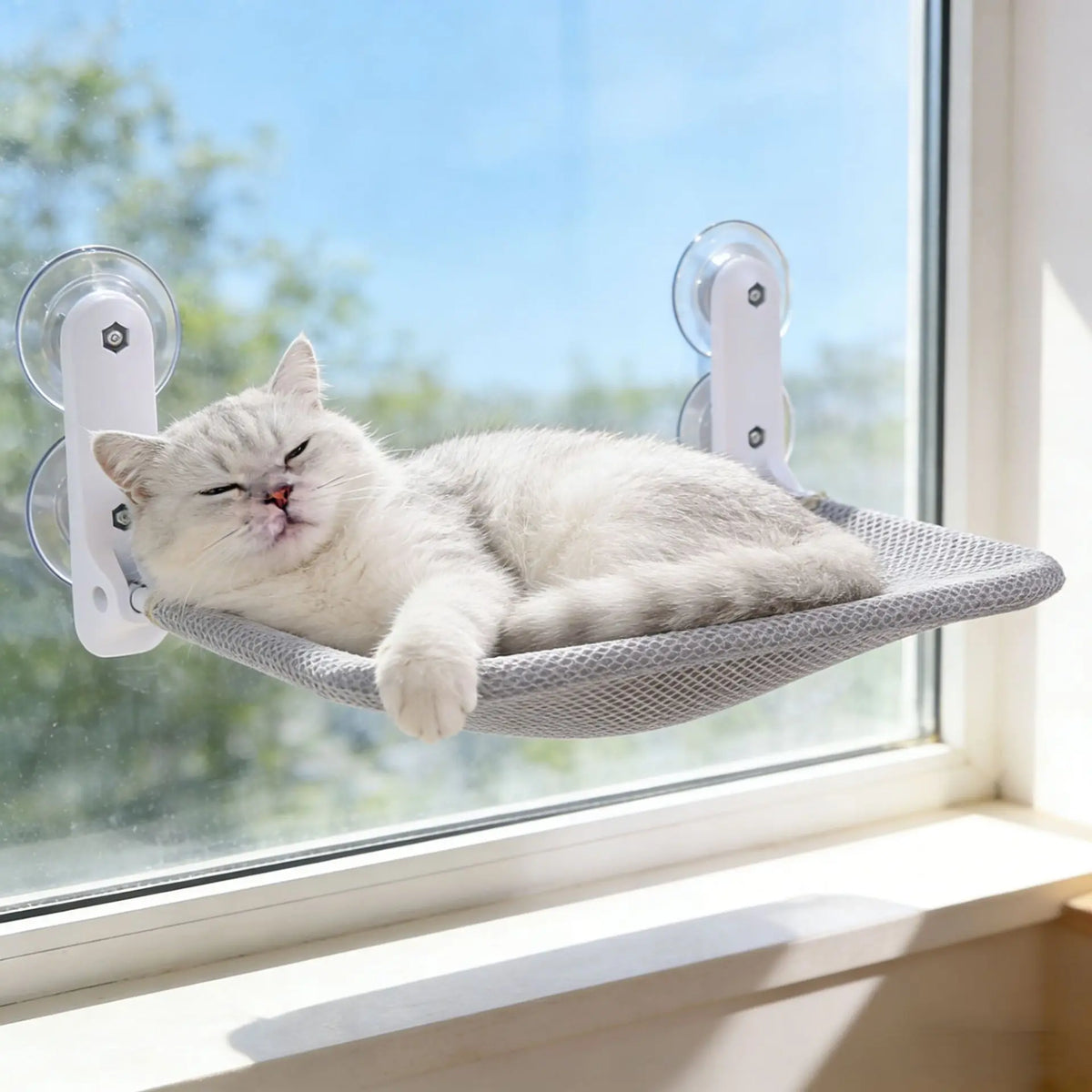 Cat Window Hammock – Foldable Suction Cup Hanging Cat Bed