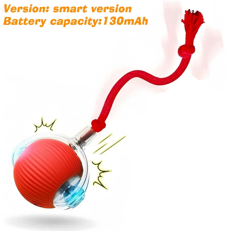 Automatic Dog Ball – Rechargeable Interactive Rolling Toy