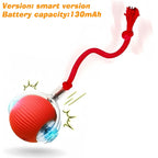 Automatic Dog Ball – Rechargeable Interactive Rolling Toy