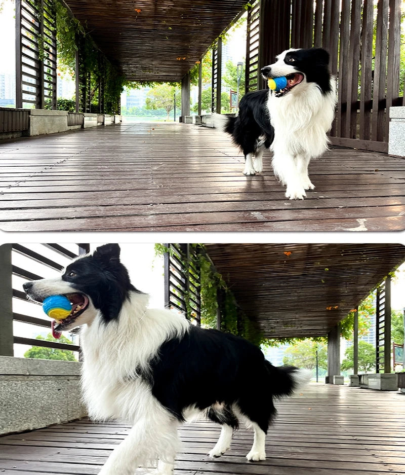 Squeaky Dog Ball – Interactive TPR Teeth Cleaning Toy