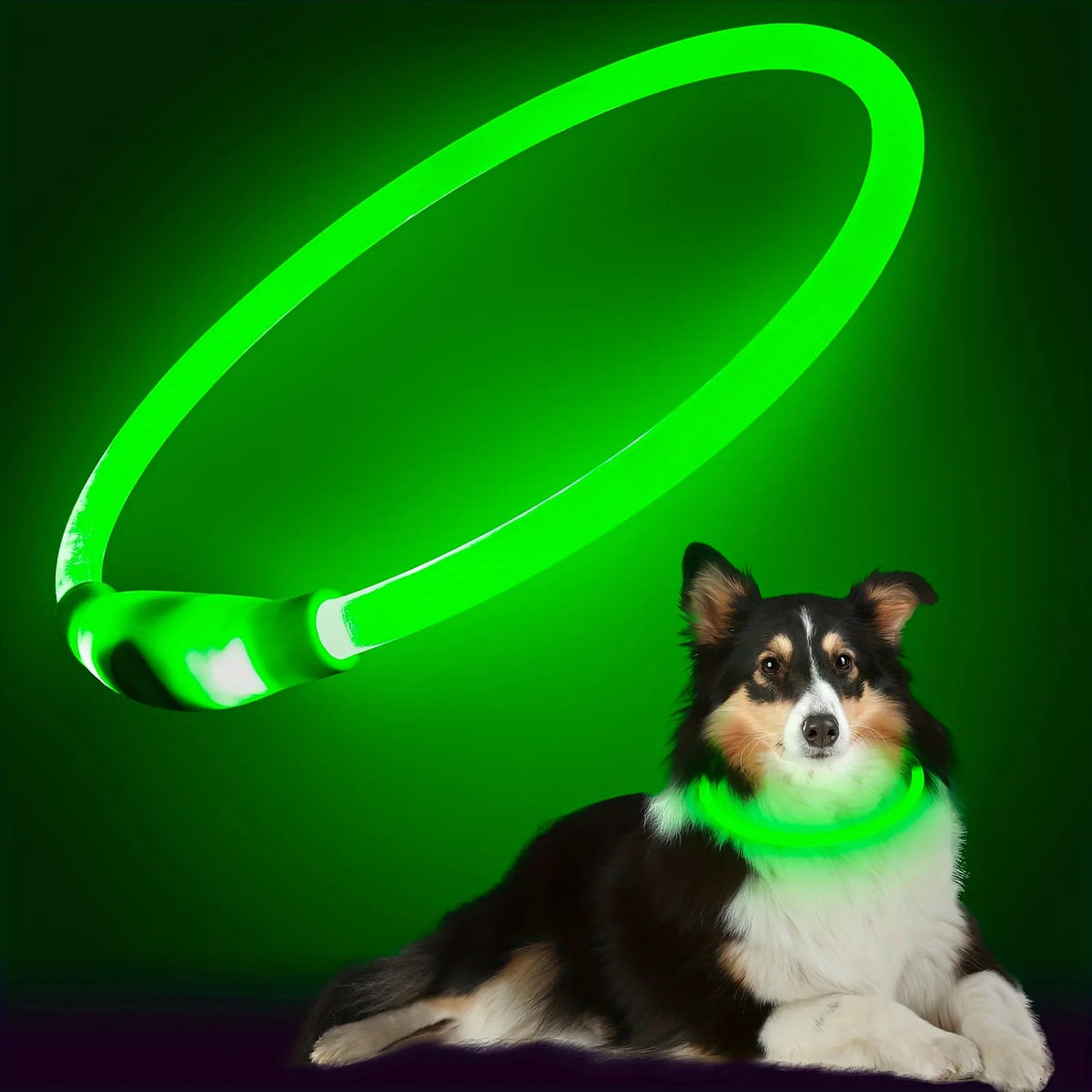 LED Dog Collar, Rechargeable Light Up Reflective Nylon Collar