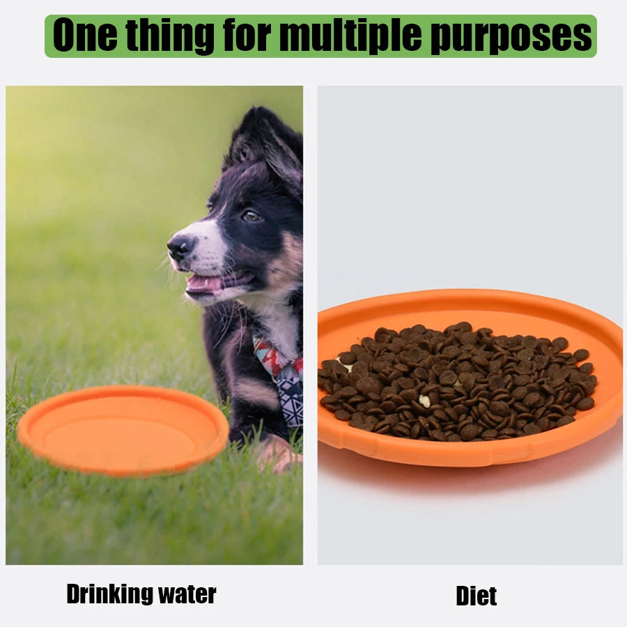 Dog Flying Disc, Soft Rubber Outdoor Toy for Training and Fetch