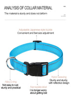 Reflective Dog Collar, Adjustable Nylon Safety Collar for Small Dogs
