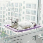 20kg Capacity Cat Hammock with Rock Climbing Frame Comfortable Sunny Window Seat Hanging Pet Bed for Kittens New Pet Supplies