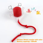 Automatic Dog Ball – Rechargeable Interactive Rolling Toy