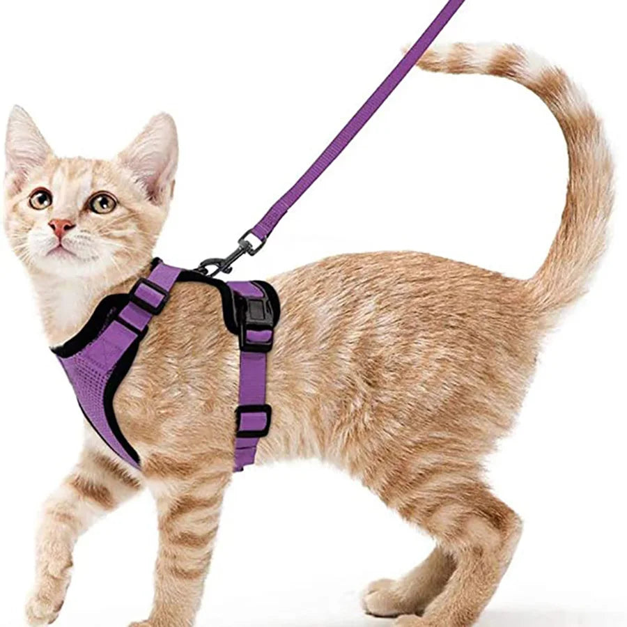Cat Harness and Leash – Soft Adjustable Vest for Walking