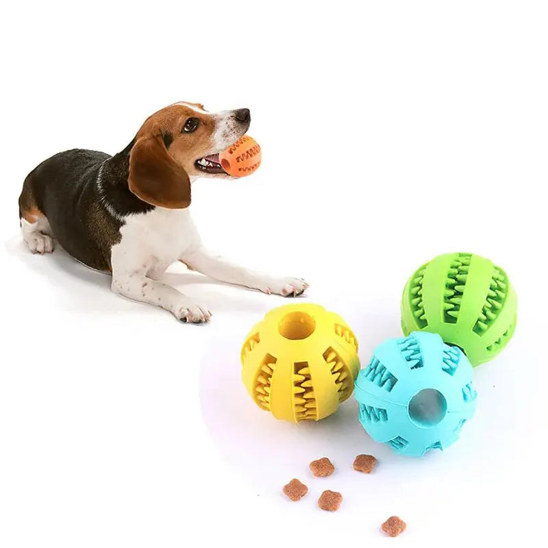 Dog Chew Toy Ball – Rubber Treat Feeder & Interactive Toy