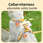 Cat Harness and Leash Set – Adjustable Bee Vest for Walking