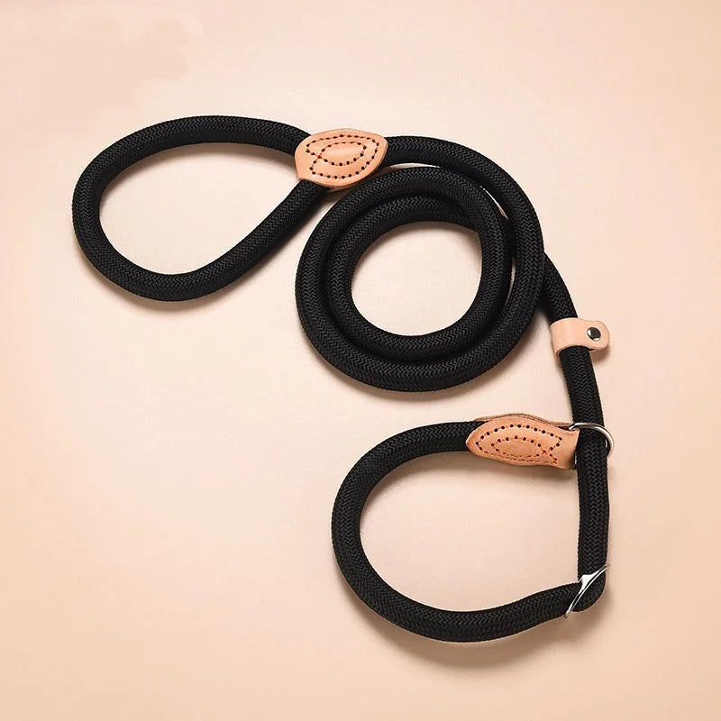 Slip Rope Dog Leash – Adjustable Nylon Lead