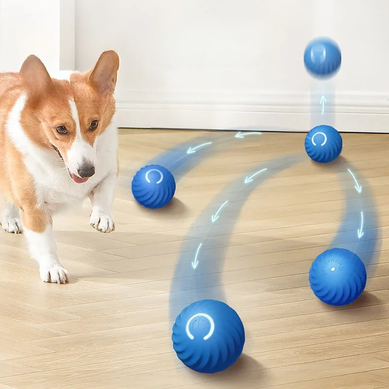 Interactive Dog Toy – Automatic Moving USB Ball for Dogs