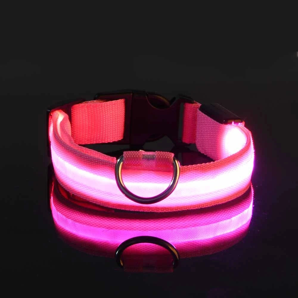 LED Dog Leash, Light-Up Nylon Safety Leash for Night Walking