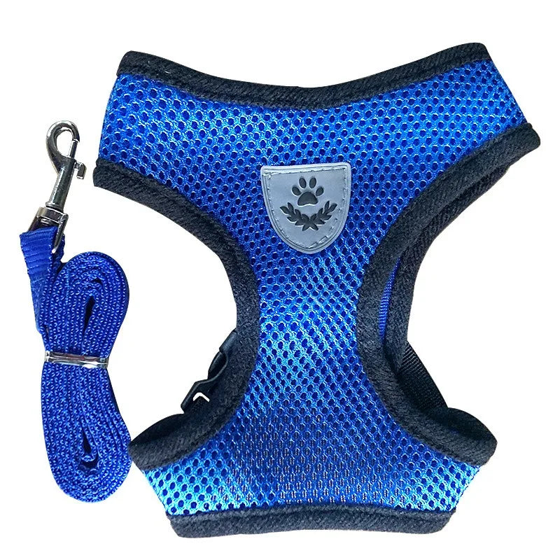 Cat Harness and Leash