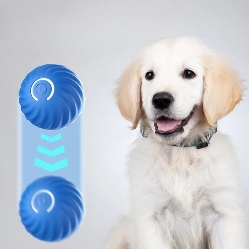 Interactive Dog Toy – Automatic Moving USB Ball for Dogs