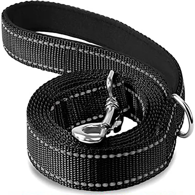 Reflective Dog Leash, Nylon Walking and Training Lead for Night