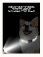 Reflective Dog Collar, Adjustable Nylon Safety Collar for Small Dogs