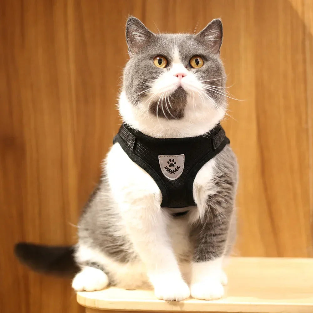 Cat Harness and Leash Set – Adjustable Reflective Mesh Vest