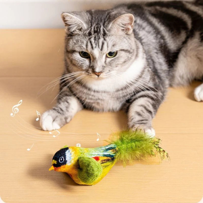Interactive Bird Cat Toy – Teaser with Catnip