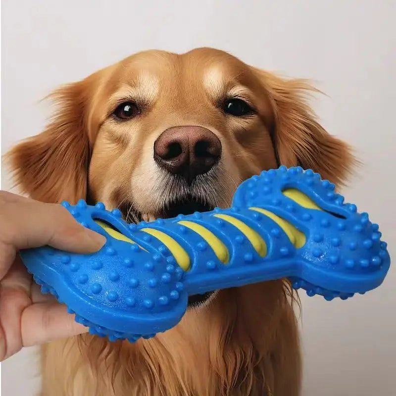 Dog Chew Toy Rubber Bone Squeaky Puppy Interactive Toy for Playtime