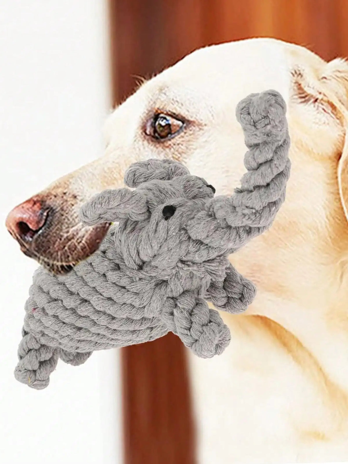 Rope Dog Toy, Knotted Chew Toy for Small & Medium Dogs
