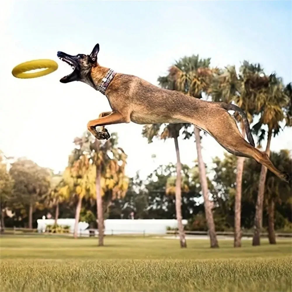 Dog Pull Ring Toy, Interactive EVA Training & Floating Toy