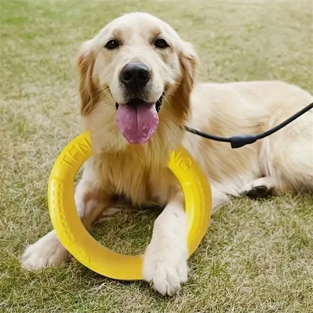 Dog Pull Ring Toy, Interactive EVA Training & Floating Toy