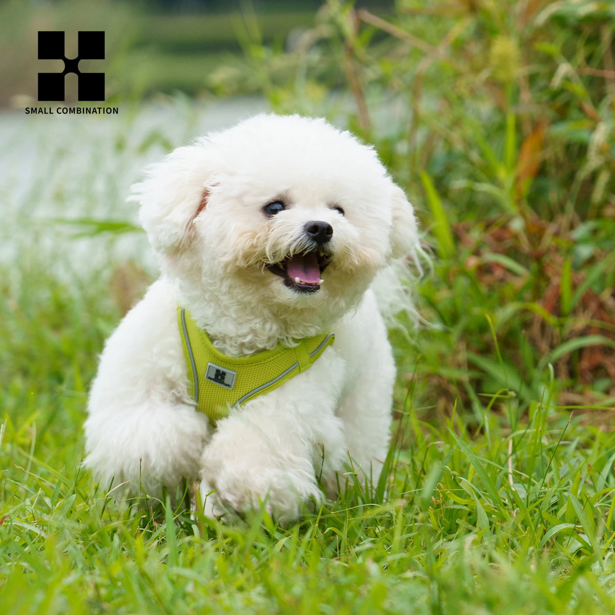 Dog Harness and Leash Set, Adjustable Reflective Puppy Vest