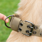 Adjustable Dog Collar – Nylon Working Collar with Metal D-Ring