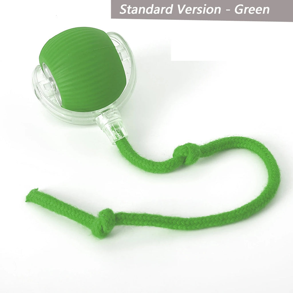Rolling Ball Dog Toy – Rechargeable Play Ball for Dogs & Cats