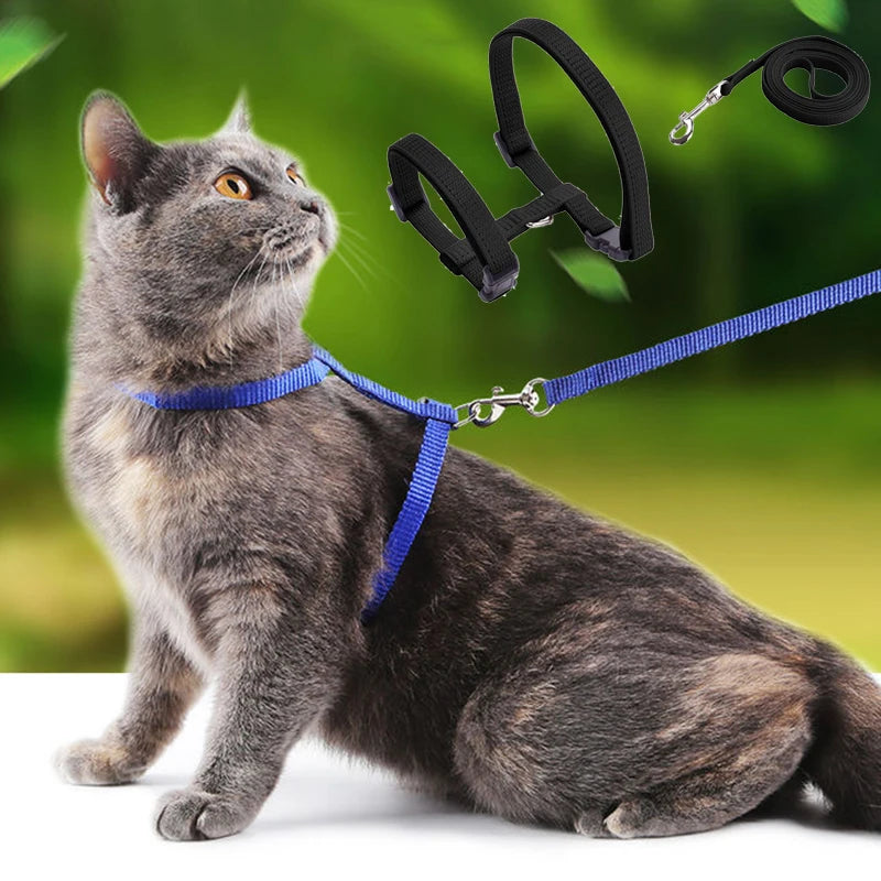Adjustable Cat Collar – Cozy Nylon Breakaway Collar