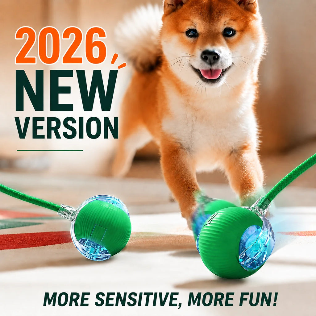 Automatic Dog Ball – Rechargeable Interactive Rolling Toy
