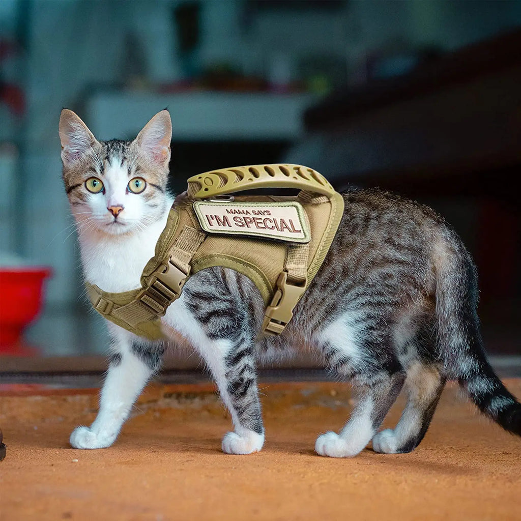 Cat Harness – Adjustable Soft Mesh Vest for Walking