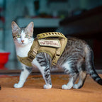 Cat Harness – Adjustable Soft Mesh Vest for Walking