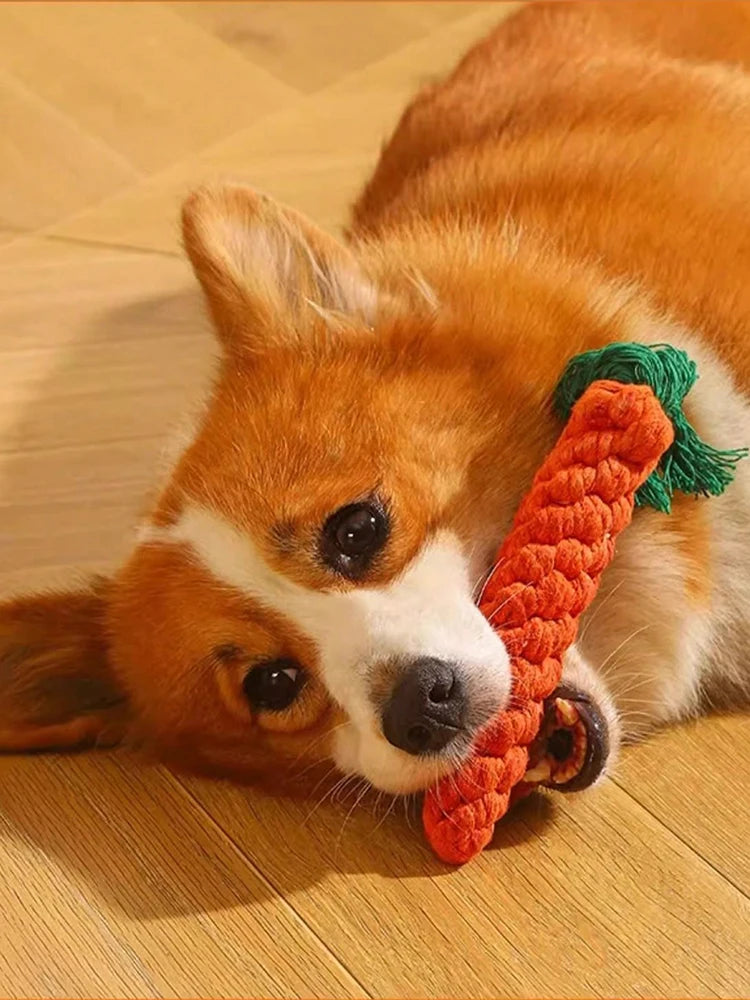 Rope Dog Toy, Knotted Chew Toy for Small & Medium Dogs