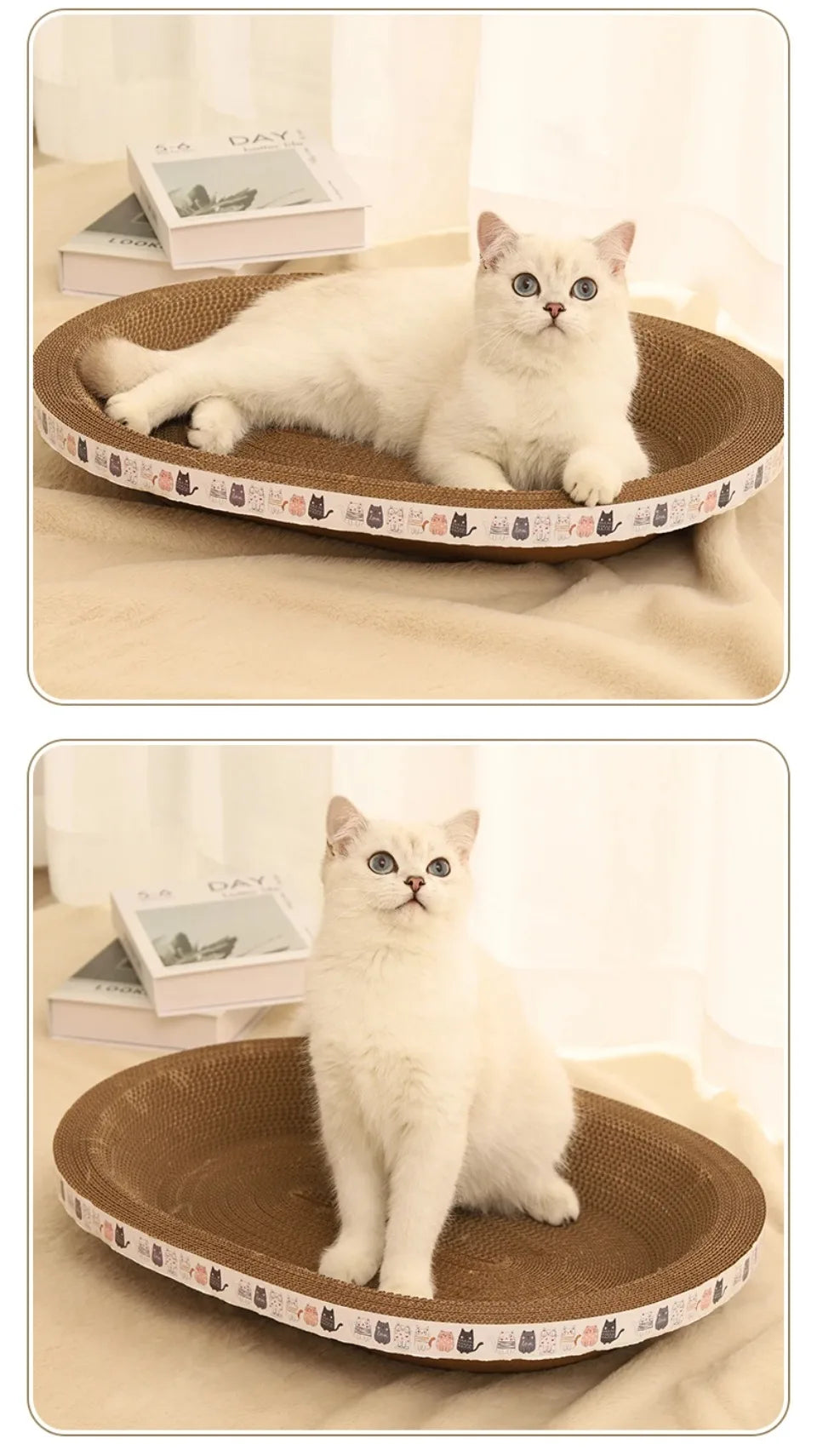 Corrugated Cat Scratching Post with Catnip & Lounge Bed