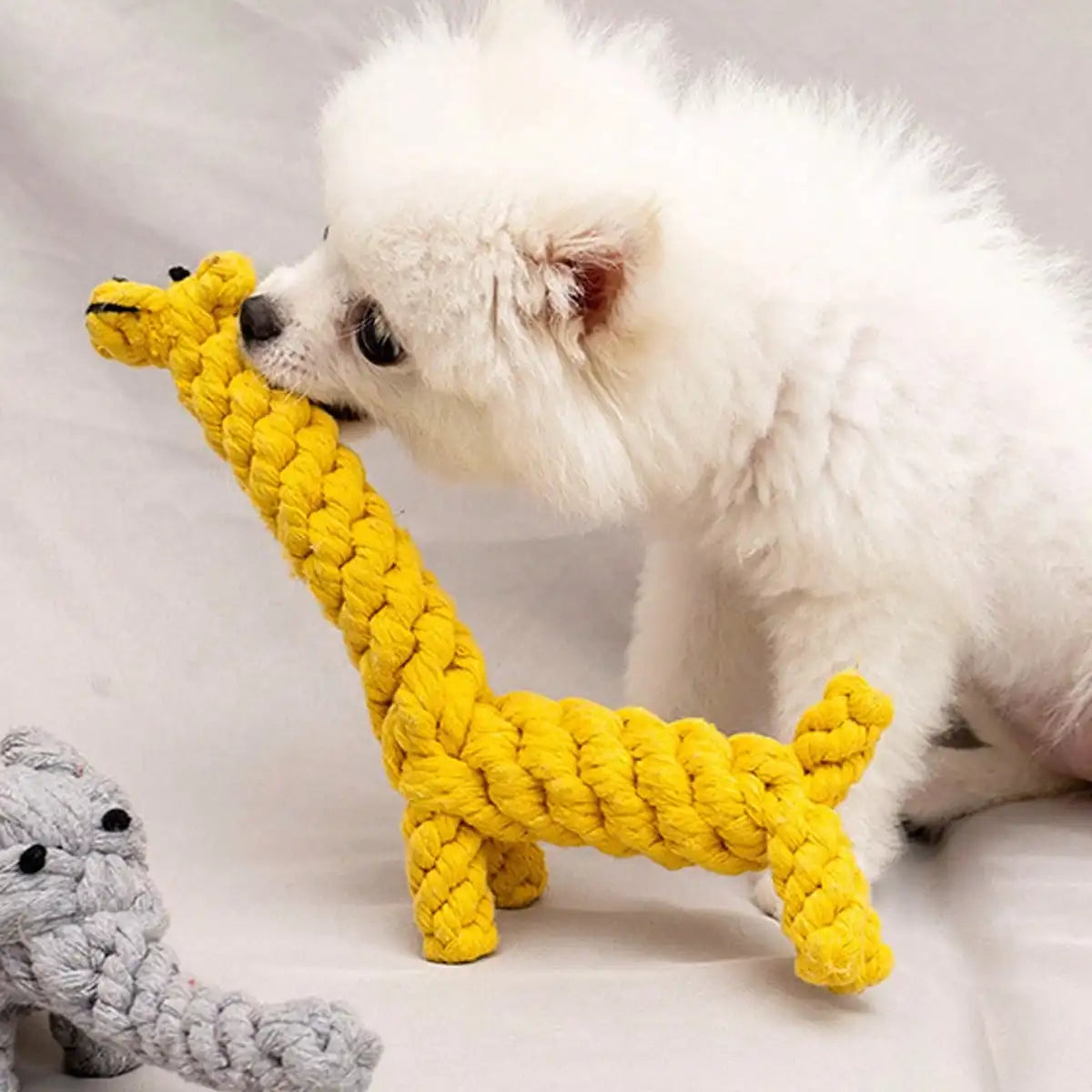 Rope Dog Toy, Knotted Chew Toy for Small & Medium Dogs