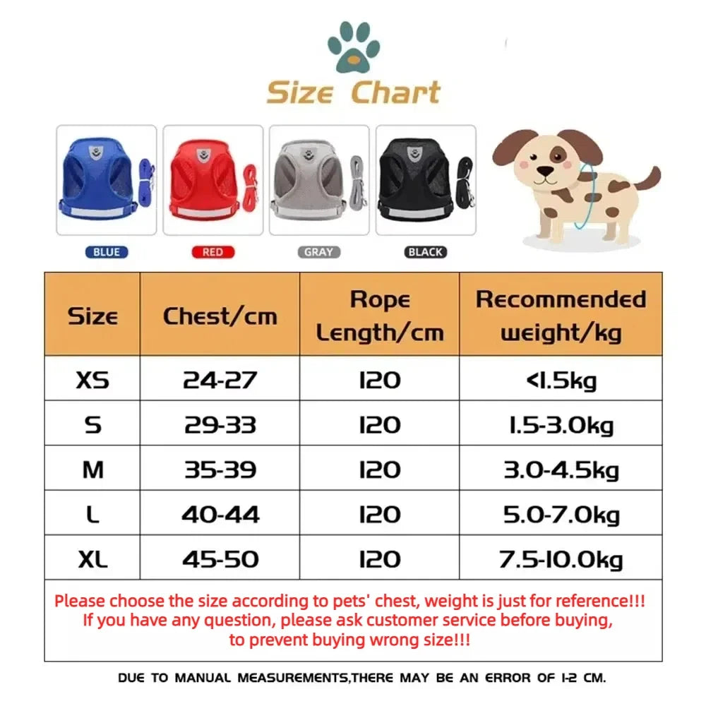 Cat Harness and Leash Set